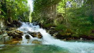 4k Clear Water in Mountain River with Cascades. Flowing River, White noise, Nature Sounds for Sleep.