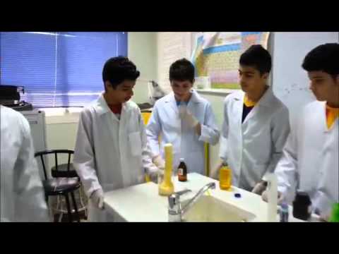 قناة وائل حسني عباره