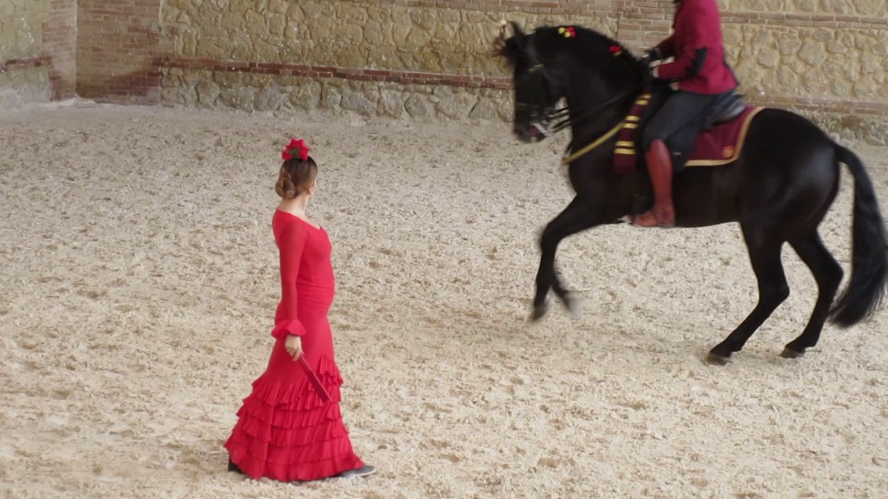 Córdova (Córdoba) - Cordoba Ecuestre