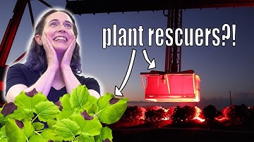 How a giant robot can save plants from climate change
