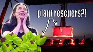 How a giant robot can save plants from climate change screenshot 2