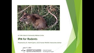 IPM for Rodents