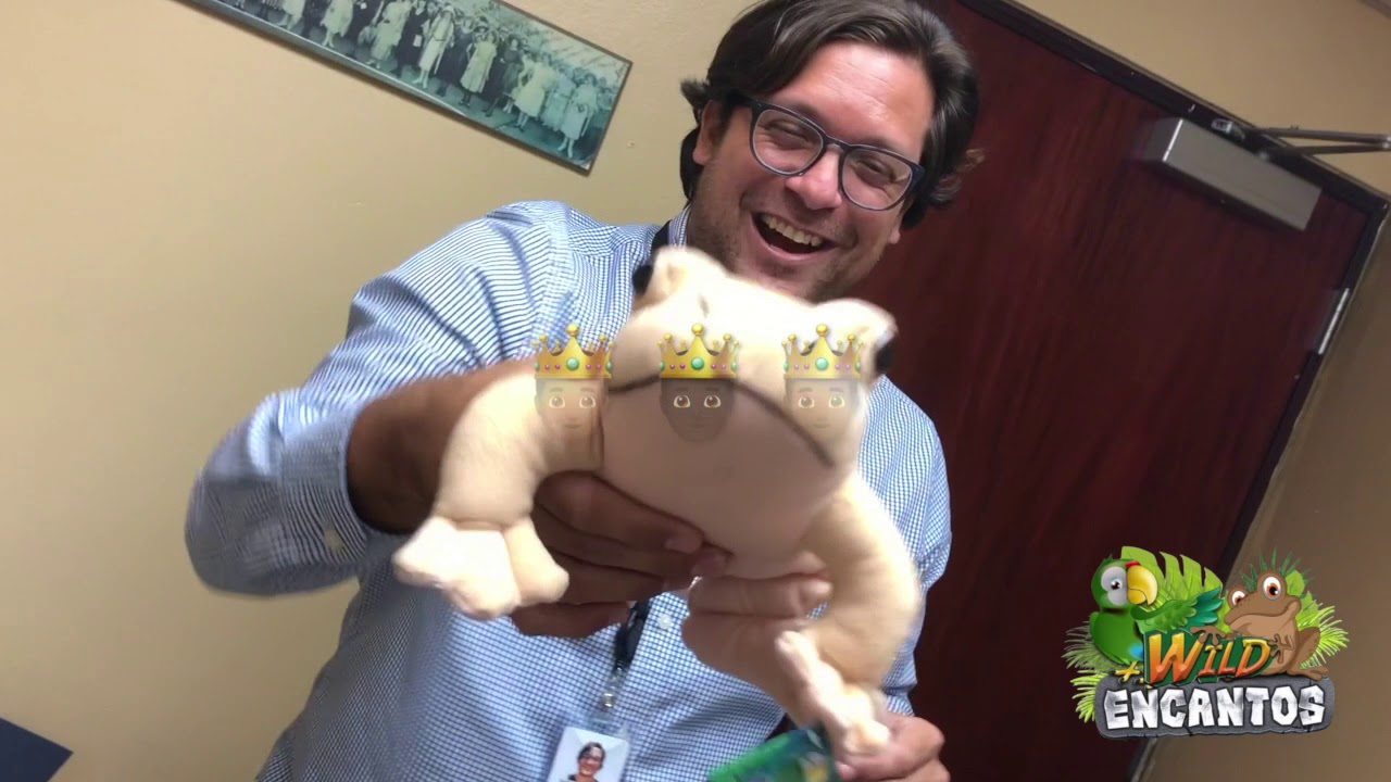 coqui plush