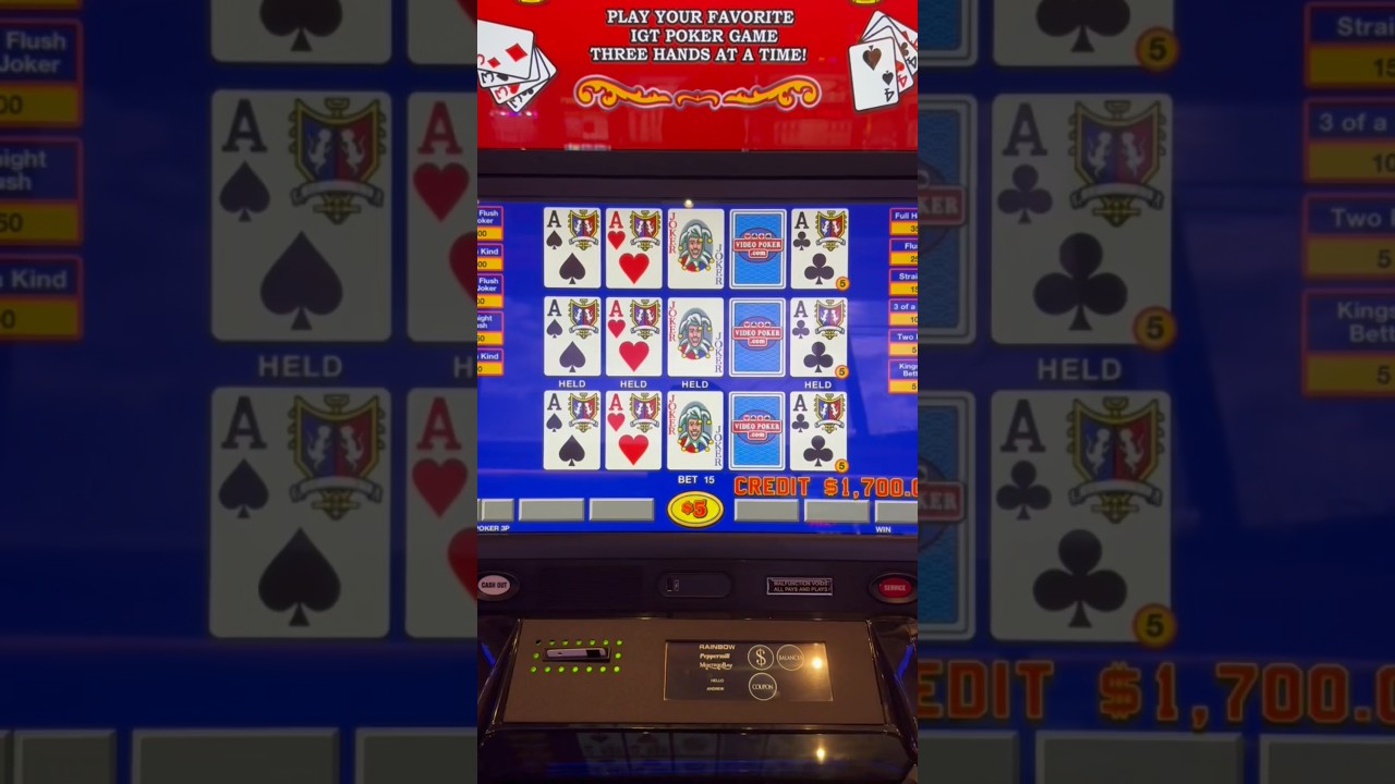 Играйте каждый день!