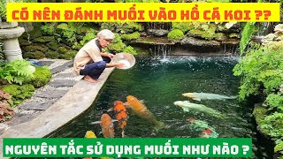 Có Nên Đánh Muối Vào Hồ Cá Koi ?? Nguyên Tắc Khi Sử Dụng Muối Như Thế Nào ? #hocakoi #muoihokoi