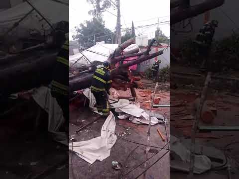 Cae un árbol en el mercado de san Lorenzo tezonco , Gracias bomberos de Coyoacán por su ayuda
