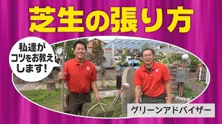 芝生の張り方西村ジョイ31