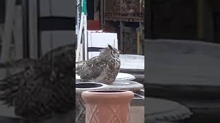 Lowes Arizona