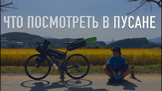 видео: Пусан. Что посмотреть за 2 дня? | На велике через всю Корею картинка: Пусан. Что посмотреть за 2 дня? | На велике через всю Корею