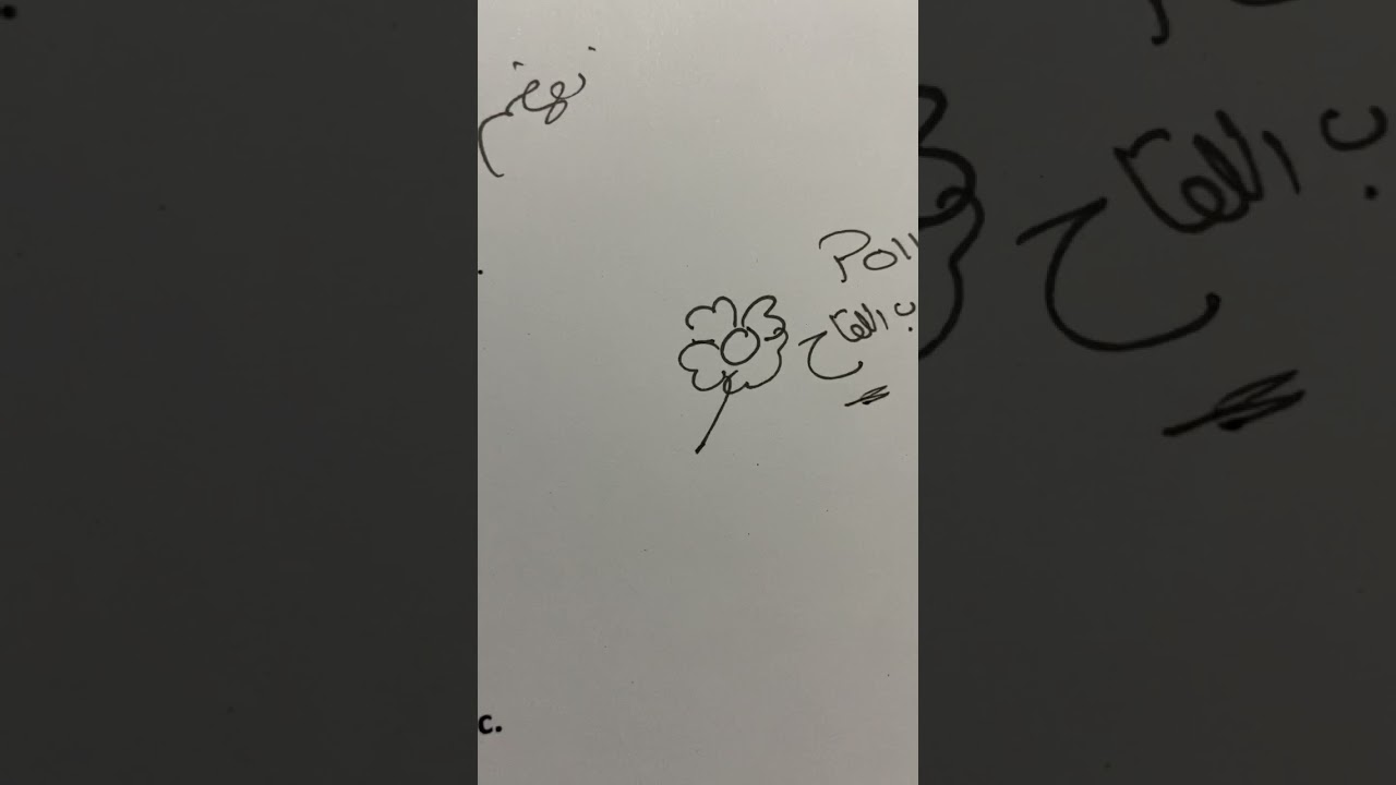 مراجعه ليلة الامتحان الصف الرابع الابتدائي منهج الكونكت