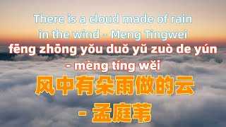 风中有朵雨做的云 - 孟庭苇.feng zhong you duo yu zuo de yun - Meng Tingwei.Chinese songs lyrics with Pinyin.