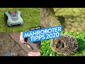 Top 5 Mähroboter - Was solltet ihr unbedingt vor dem Kauf beachten