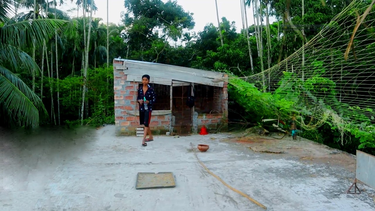 যত্ন নিলে রত্ন মিলে || Barishal Voice || Kalam Khan 's New Video about Pigeons