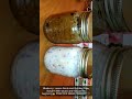 How to Make Homemade Body Scrub????❤️
