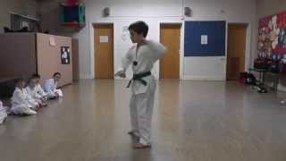 Il Jang By Igor Hakl