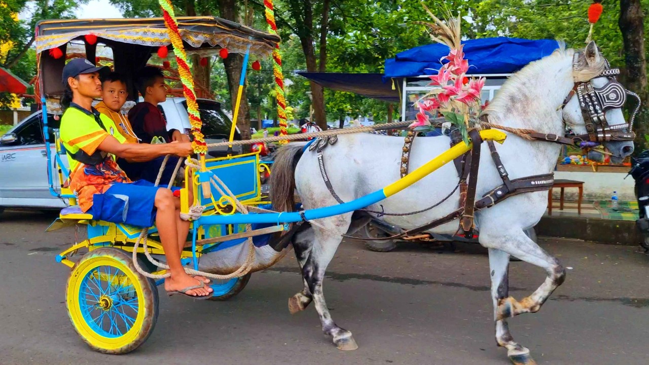 NAIK KUDA ~ KUDA DELMAN ~ NAIK DELMAN ISTIMEWA ~ LAGU DUA MATA SAYA ~ DI SINI SENANG DI SANA SENANG