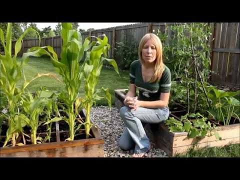 The Benefits of Square Foot Gardening
