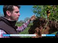 Lagriculture de conservation des sols acs une rponse  la scheresse 