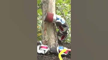 What is scarier than a snake A robot that can climb trees like a snake! #tech #shorts