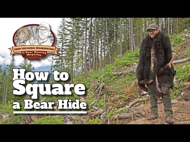 VLOG #15: How to Square a Bear & Who to Trust class=