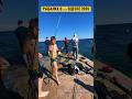 🎣🌊 ОДЕССА! РЫБАЛКА 2026 🌊🎣🐟 СЕЗОН ОТКРЫТ — ЛОВИМ БЫЧКОВ #украина #море #пляж #ukraine #fishing