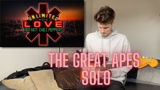 Red Hot Chili Peppers - The Great Apes (Guitar Solo Cover)