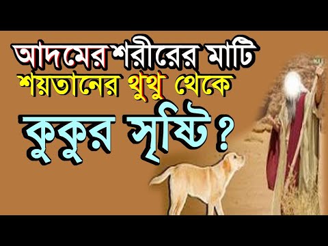 ভিডিও: কুকুরের কি থুতু আছে?