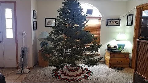 Create a Stunning Crochet Christmas Tree Skirt