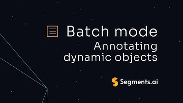 Batch mode in the 3D point cloud interface on Segments.ai | Tutorial