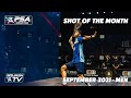 Squash: Shot of the Month - Men - September 2021