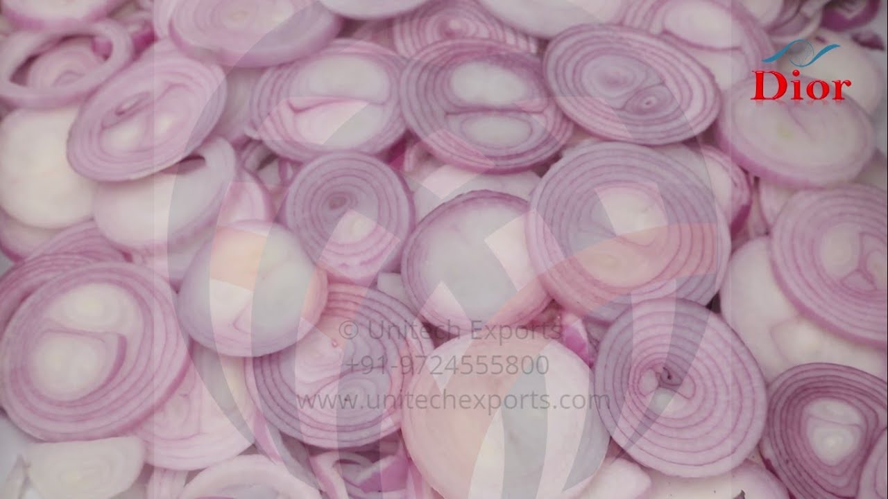 Stainless Steel Onion Flower Blooming Cutter Machine at best price in  Guwahati