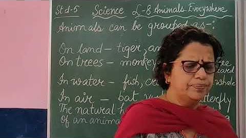 V Science Chapter 8 Animals Everywhere Part 1