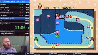 Princess Kaizo Land 100% in 20:24 (Current WR)