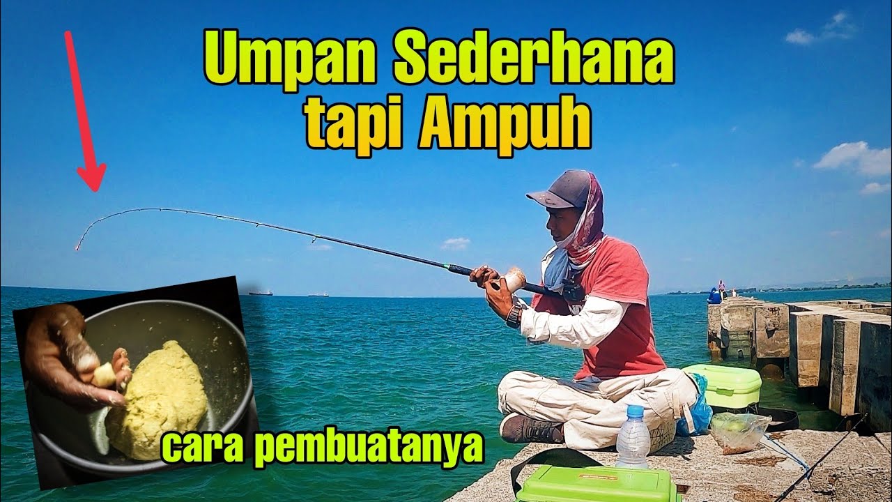 Terbukti, Umpan ini Ampuh untuk Mancing Ikan Patik/ Bekukon