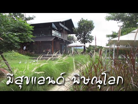 [รีวิวร้านกาแฟ]  ร้านกาแฟพิษณุโลก รีวิวมีสุขแลนด์ ร้านกาแฟของคุณไก่ มีสุข อ.วังทอง จ.พิษณุโลก ☕