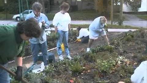 The Monet Project.mpg