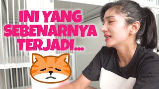 KEMANA SIH KUCING KAMPUNG FANNY SEBENARNYA??!!