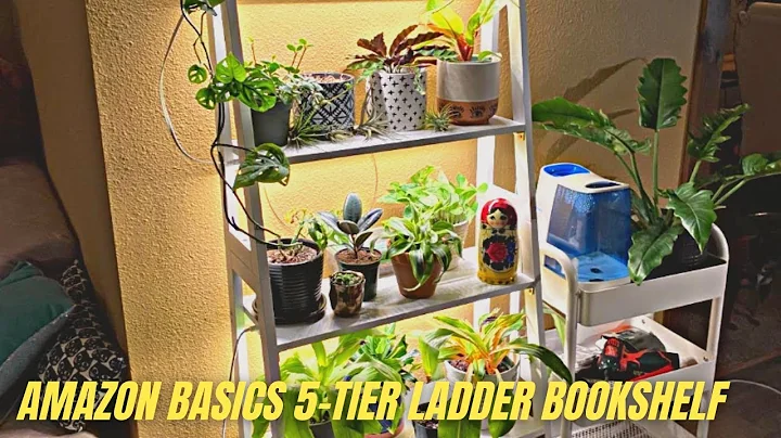 Amazon Basics 5-Tier Ladder Bookshelf Review & Test | Best Bookcases for Home Office