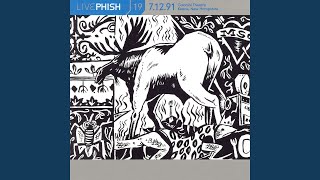 Video thumbnail of "Phish - Gumbo"