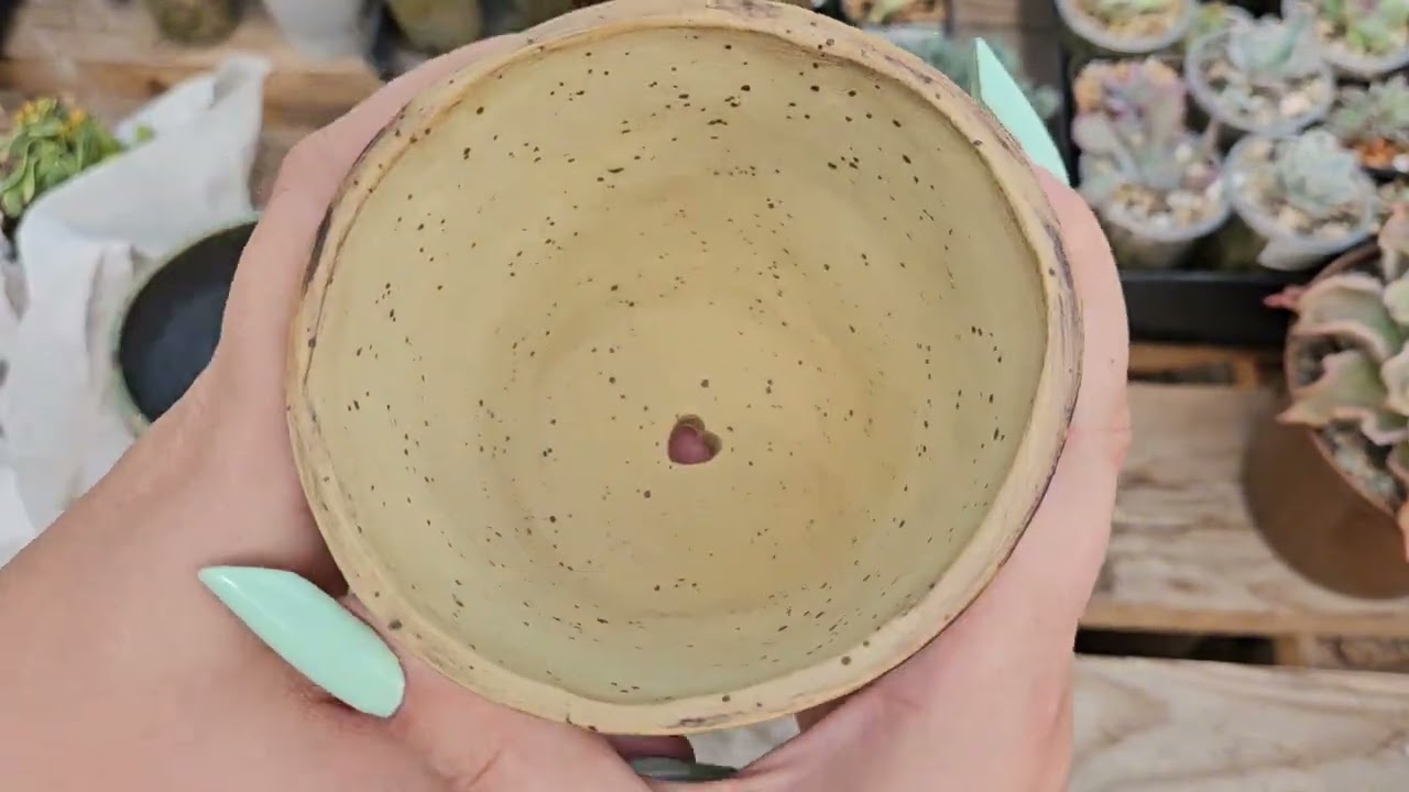 Распаковка горшочков для,суккулентов от @Лафкидом 