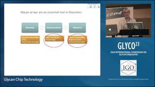 Glycan Chip Technology: Professor Sabine Flitsch