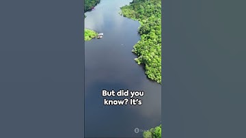 Amazon Forest_ The Green Heart of Earth