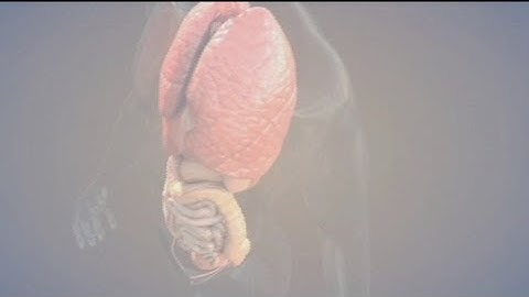 euronews hi-tech - The computer printer at the heart of the matter