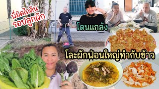 โละผักในสวนทำแกงหม้อใหญ่​ พี่มิค​ไถดินเตรียม​ปลูกผัก​.Ep58|2024