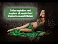 Hanna Friberg - YouTube