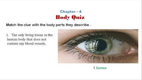 General Knowledge (GK) : Class 4 : Chapter 4 : Body Quiz : Reading and Explanation : Glenhill School