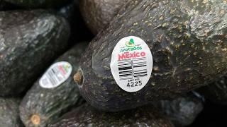 US suspends avocado inspections in Mexican state