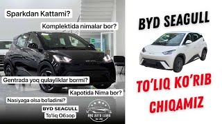 To’liq Obzor! BYD Seagull ni ko’rib chiqamiz. Afzaliklari Va Kamchiligi. BBC AVTO IJARADA NASIYAGA!