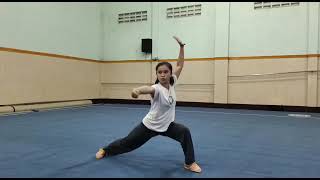 Wushu Chang Quan Junior C