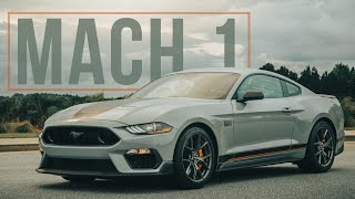 Is the Mach 1 the BEST Combination of Ford Mustang Goodness?